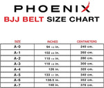 bjj belts size chart 2023