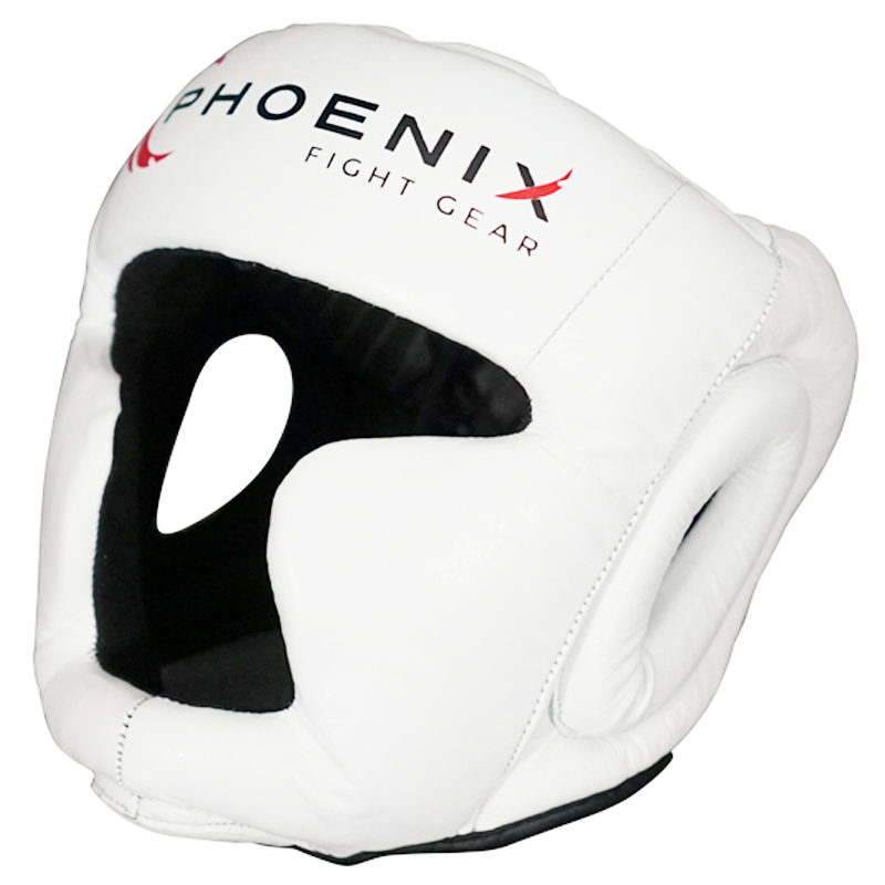 phoenix flight gear Flight Headgear with Cheek & Chin Protection