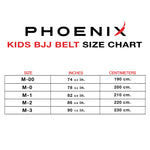 BJJ Orange Belt, Martial Arts Orange Belt, Kids Size Chart