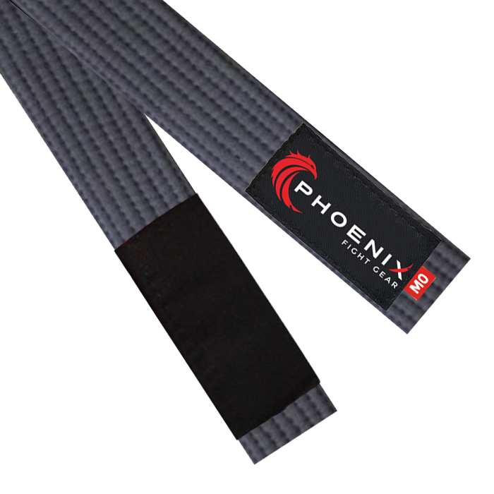fight gear bjj Grey Belt Option:Fahrrad Category:E Bikes MTB Cross_ACID Front Light PRO E 150 X Connect  12V  DC Fahrradrahmen und -gabeln: Des Anyone who trains hard